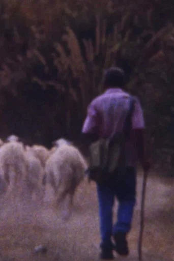 Movie poster for Sei personnagi in cerca di un rospo enorme