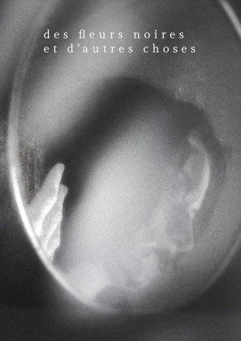 Movie poster for Des fleurs noires et d'autres choses