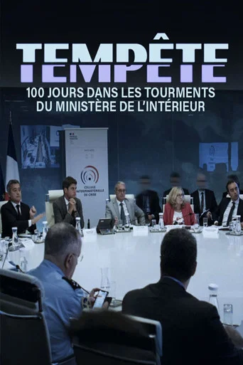 Series poster for Tempête : 100 jours dans les tourments du ministère de l'Intérieur (2025)
