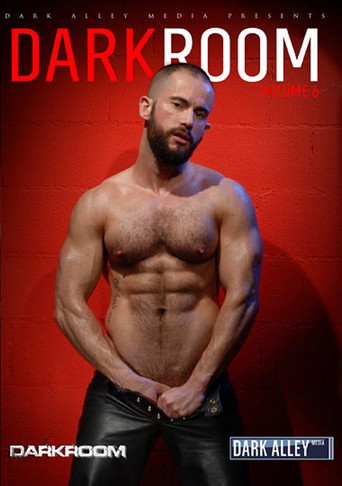 Movie poster for DarkRoom 6 (2014)