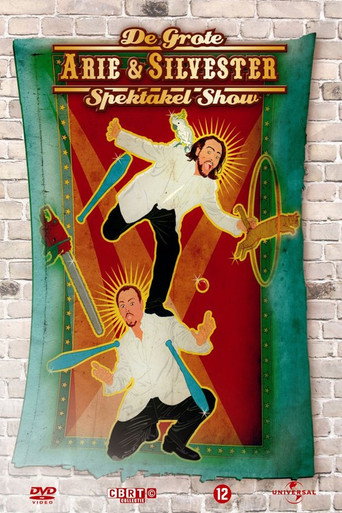 Arie & Silvester - The big spectacle show poster