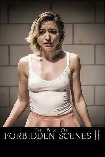 The Best of Forbidden Scenes 11 poster