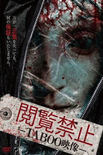 Movie poster for Viewing Prohibited TABOO Video (2013)