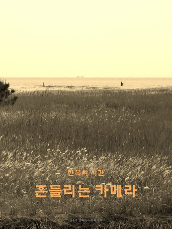 wandering camera poster