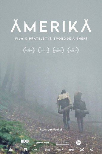 Movie poster for Amerika (2015)