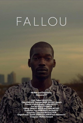 Movie poster for Fallou (2017)