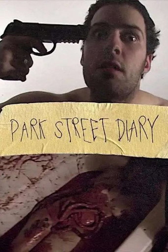 Movie poster for Park Street Diary (2021)