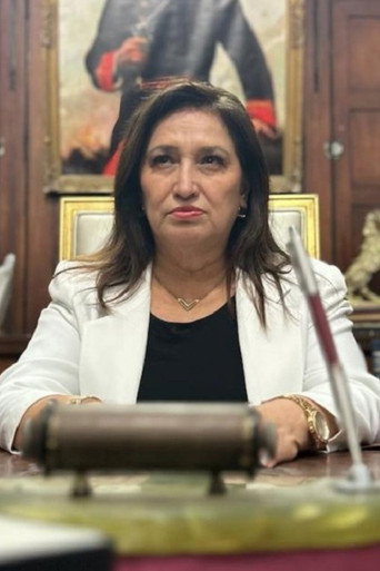 Series poster for Los Waykis (2024)