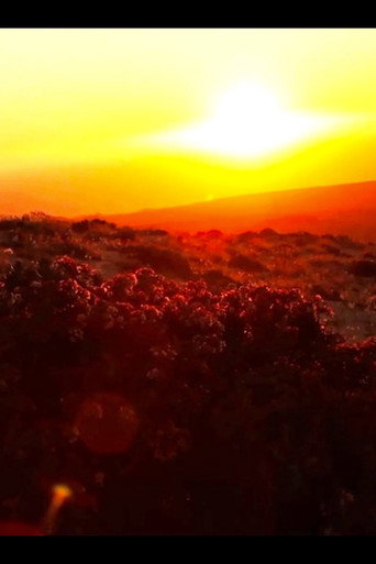 Movie poster for Todos tienen algo Desierto (2011)