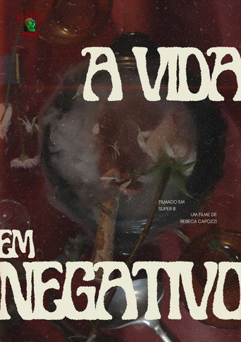 Movie poster for A Vida em Negativo