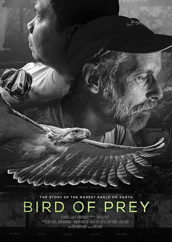 Movie poster for Bird of Prey (2018)