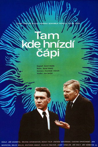 Tam kde hnízdí čápi poster