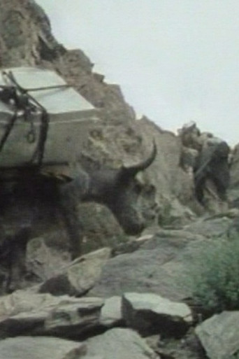 Movie poster for The Kirghiz of Afghanistan (1975)