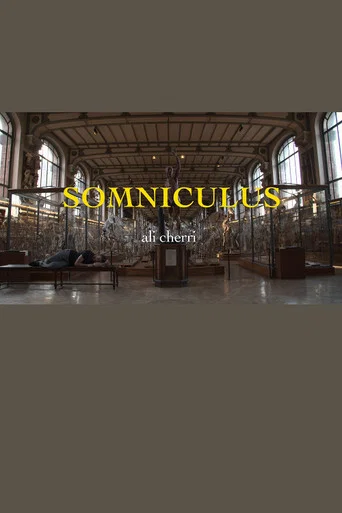 Movie poster for Somniculus (2017)
