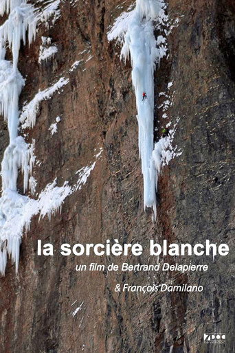 Movie poster for La Sorcière Blanche (2007)