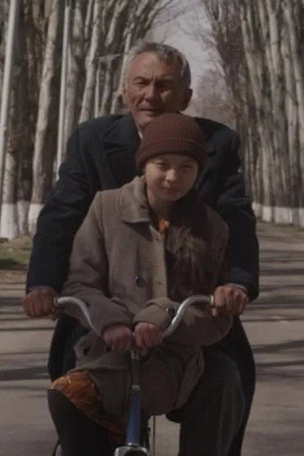 Movie poster for The Seagull (2012)