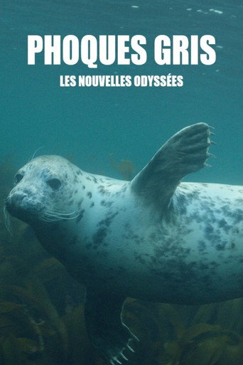 Movie poster for Grey Seals: A Journey of Survival (2016)