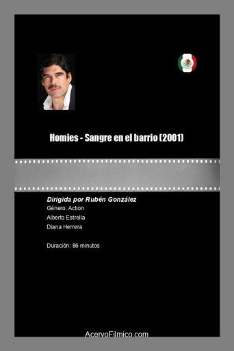 Movie poster for Homies - Sangre en el barrio (2001)