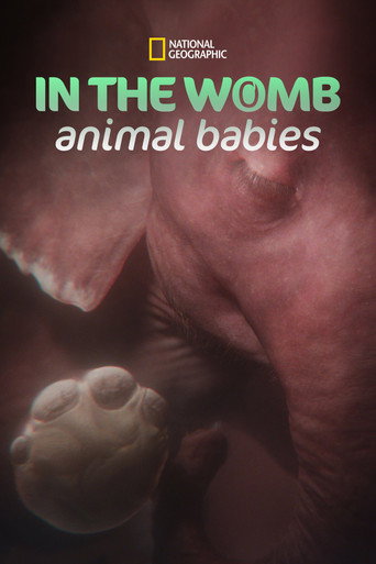 Series poster for In the Womb: Animal Babies (2022)
