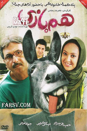 The Playfellow poster