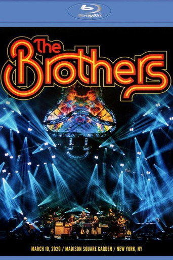 Movie poster for The Brothers (2021)