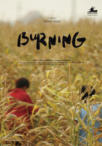 Burning poster