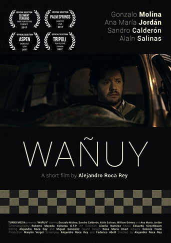 Wañuy poster