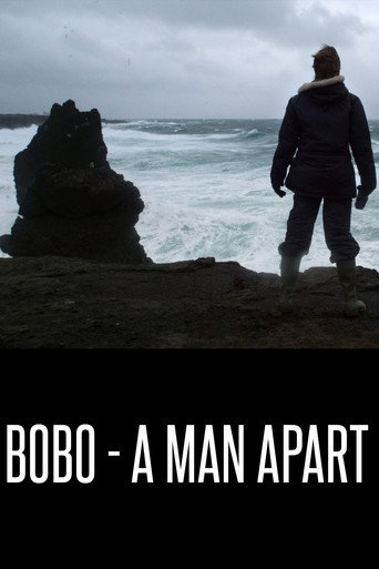 Movie poster for Bobo - A Man Apart (2013)