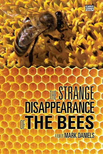 Movie poster for The Strange Disappearance of the Bees (2010)