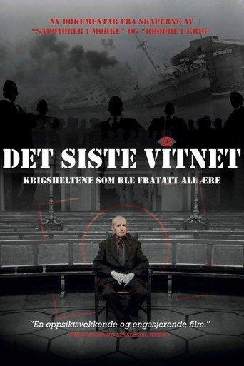 Movie poster for Det siste vitnet (2013)