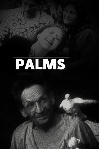 Movie poster for Palms (1994)