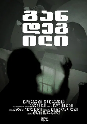 Movie poster for The Hermit