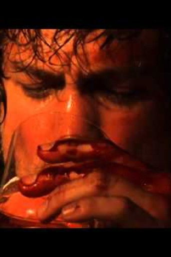 Vale Tudo Project poster