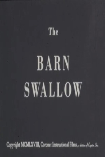 Movie poster for The Barn Swallow (1968)