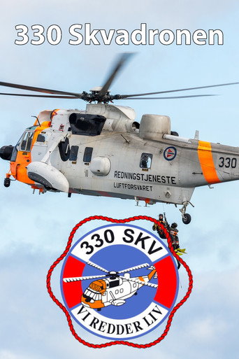 330 Skvadronen poster