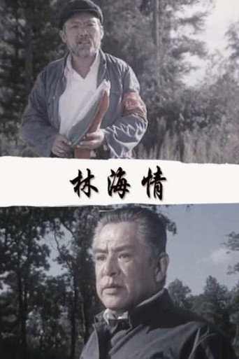 林海情 poster