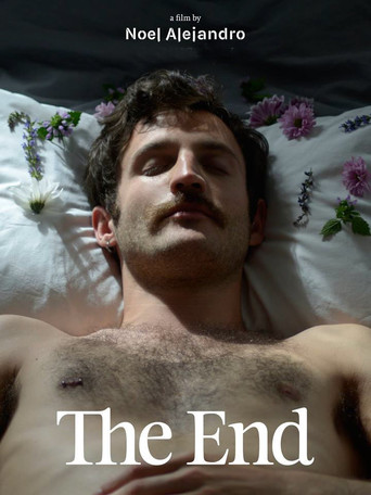 Movie poster for The End (2018)