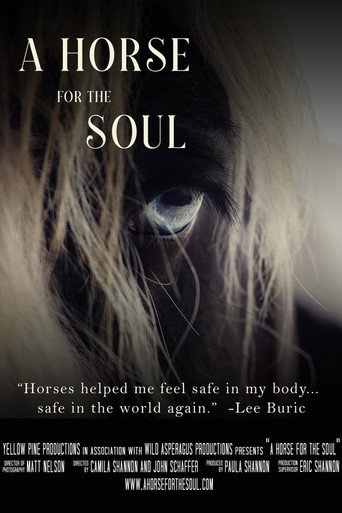 Movie poster for A Horse for the Soul (2020)