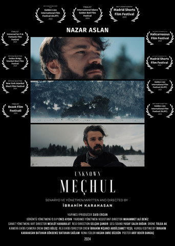 Movie poster for Meçhul