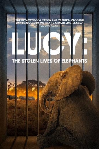 Movie poster for Lucy: The Stolen Lives of Elephants (2025)