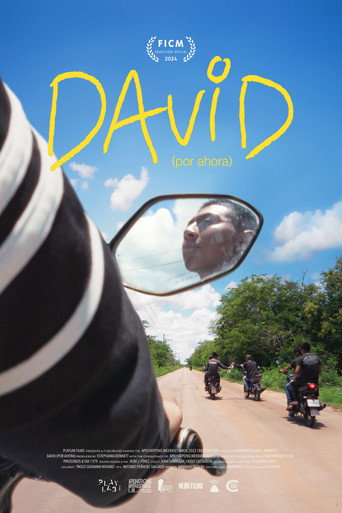 Movie poster for David (For Now) (2024)