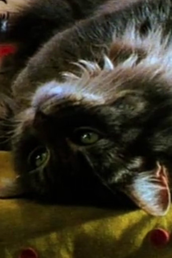 Movie poster for Faux Paw