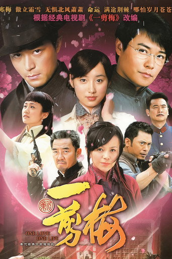 New Spring of Plum Blossoms poster