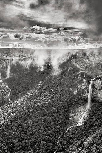 Movie poster for Planeta Amazônia (2022)