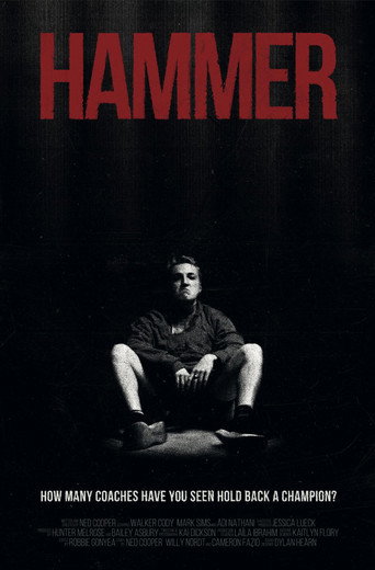 Movie poster for Hammer (2021)