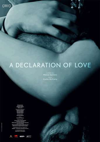 Movie poster for A Declaration of Love (2021)