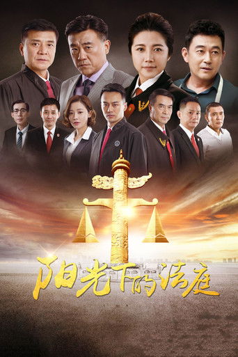 阳光下的法庭 poster