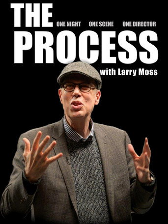 Movie poster for The Process