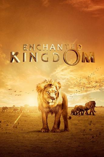 Movie poster for Enchanted Kingdom (2014)