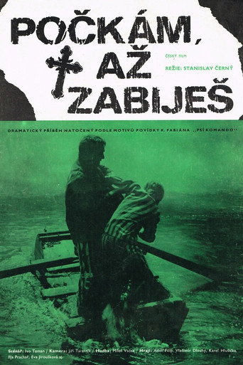 Movie poster for Počkám, až zabiješ (1973)